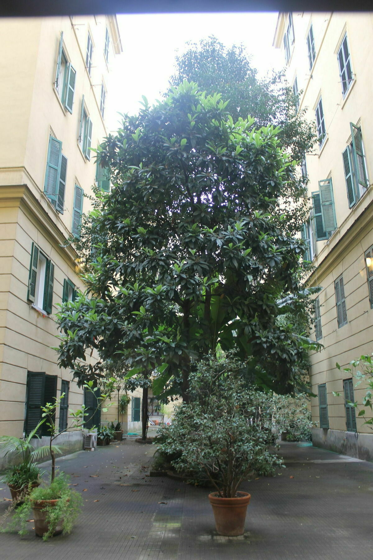 Rovati Guesthouse Rome Exterior photo